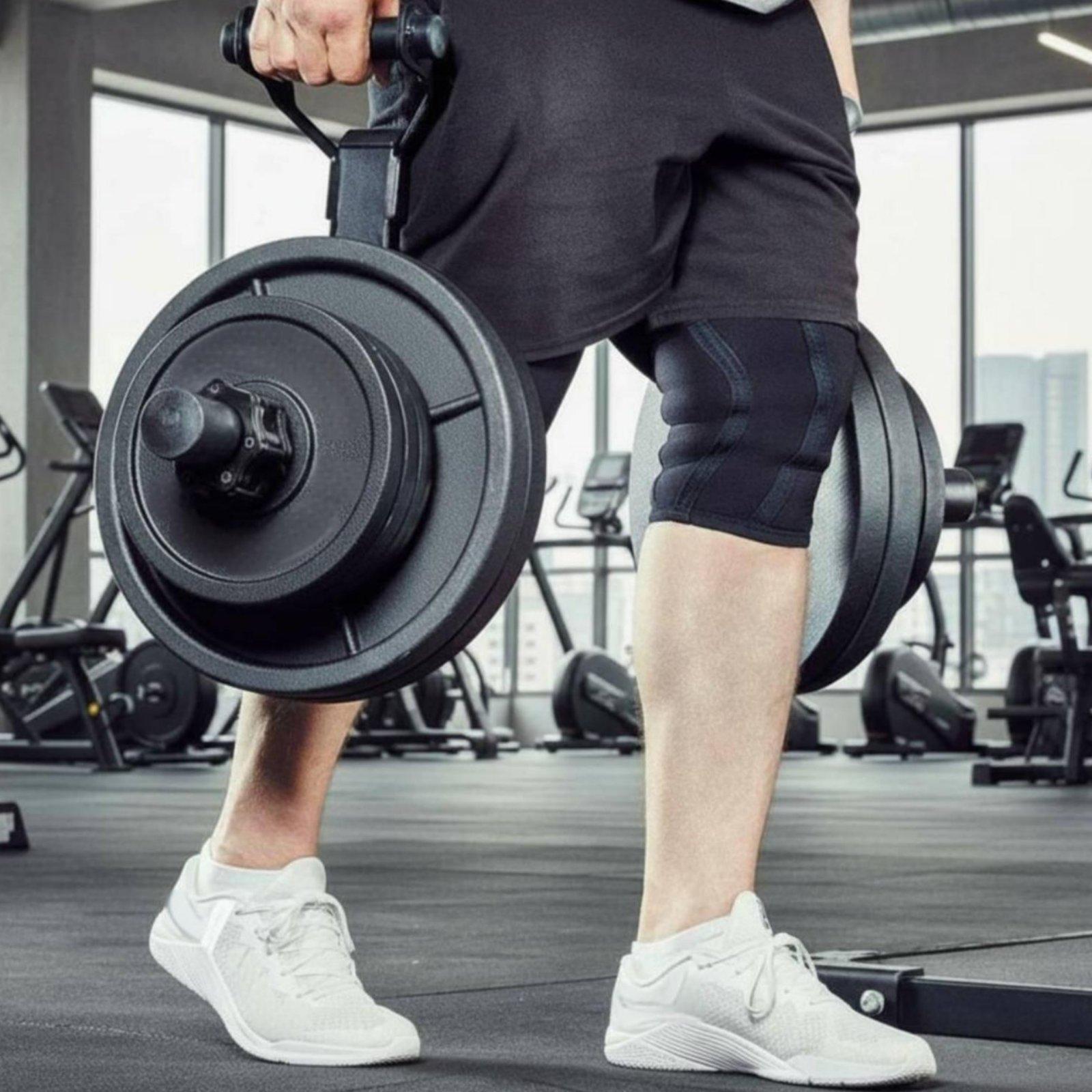 Multi-size Barbell Plate Holde - Fitness Equipment ulasan dan harga