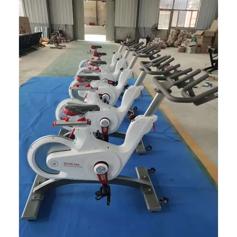 Professional Magnetic Resistan - Exercise Bike Magnetic Resistance ulasan dan harga