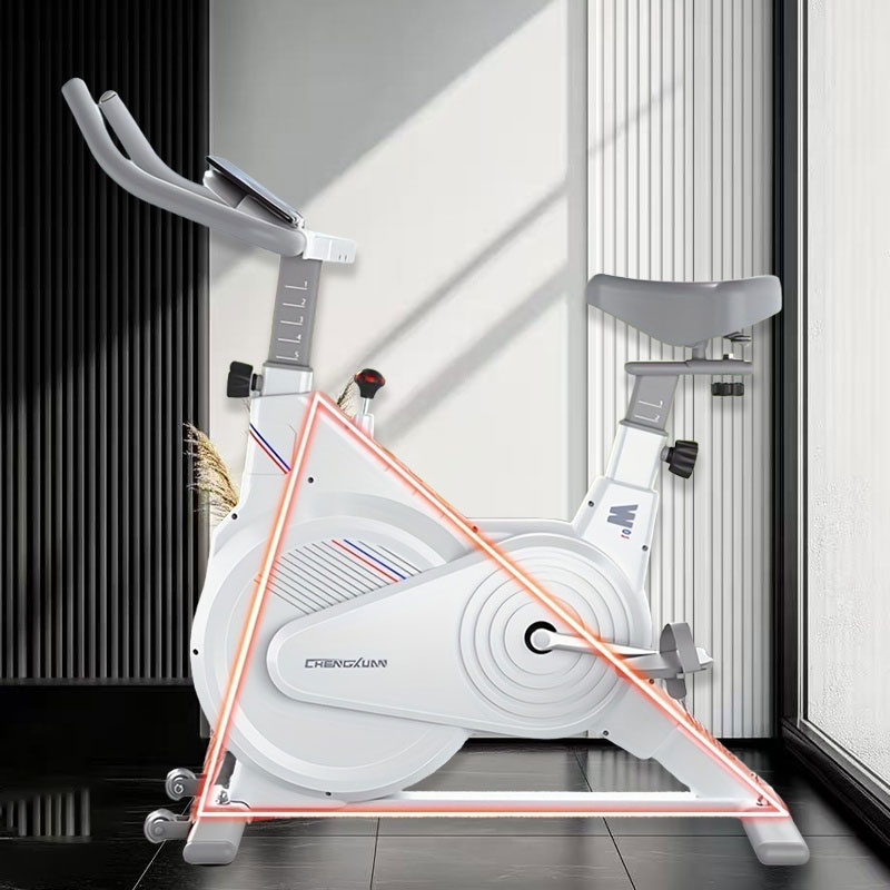 Indoor Stationary Spin Bike, S - Exercise Bike Magnetic Resistance ulasan dan harga